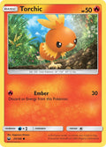 Torchic (25)