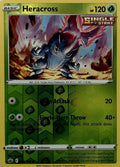Heracross