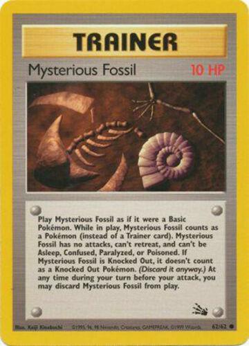 Mysterious Fossil