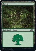 Forest (110)