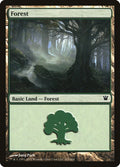 Forest (263)