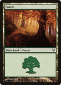 Forest (243)