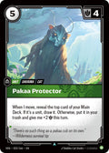 Pakaa Protector
