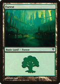 Forest (84)