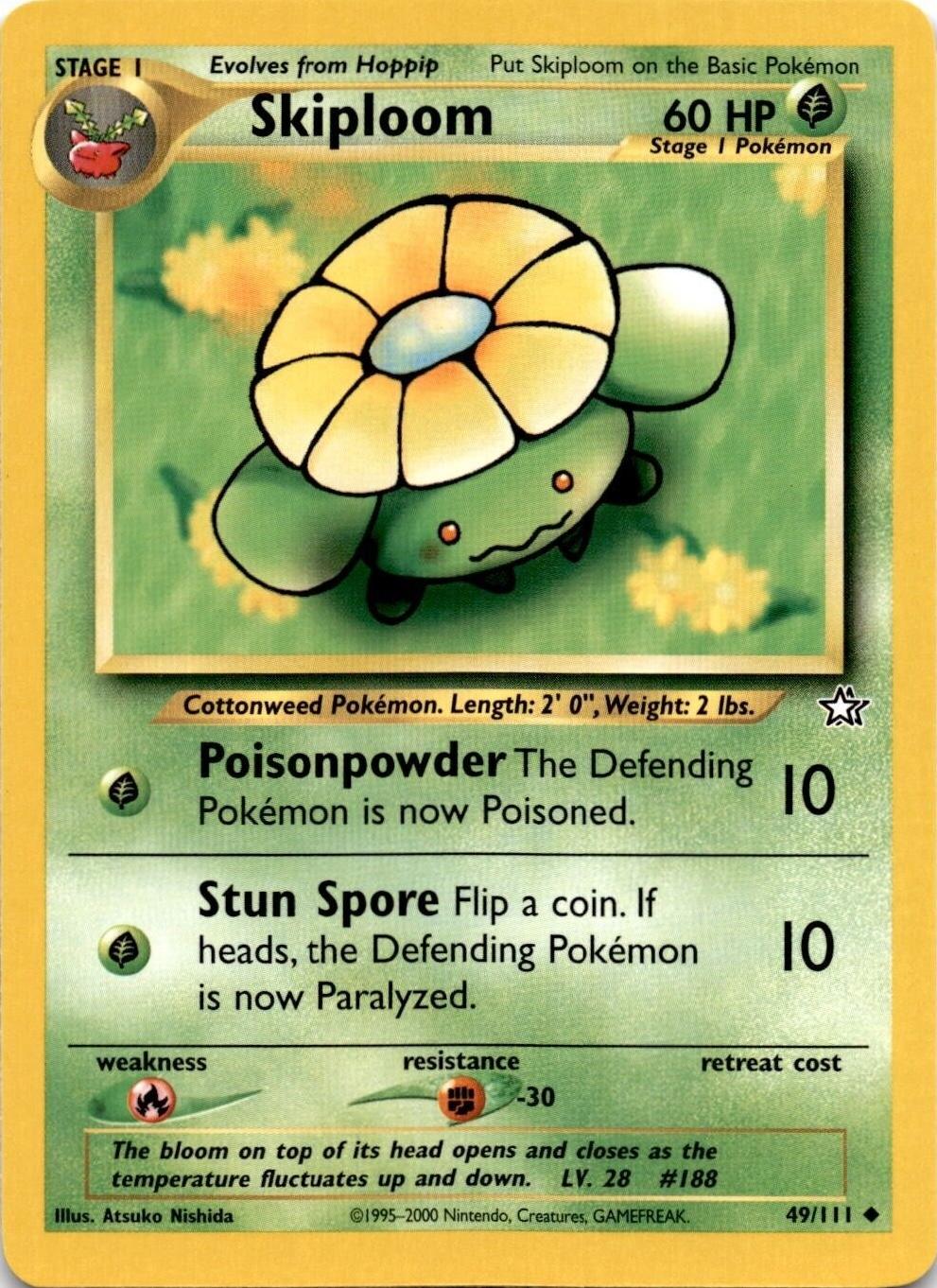 Skiploom
